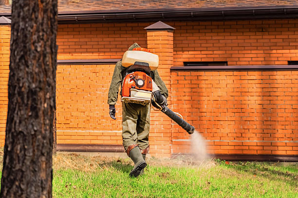 Trusted Cockroach Control service in Manson, IA - Nex Pest Control